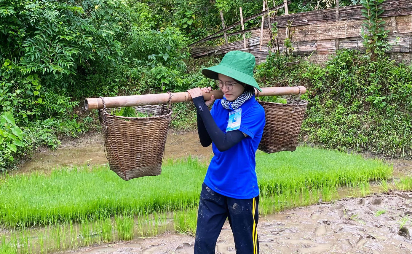 Để tránh nắng, từ 6h sáng, các đoàn viên thanh niên đã nhổ mạ rồi ra đồng để cấy lúa.