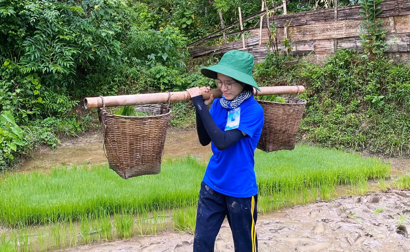 Để tránh nắng, từ 6h sáng, các đoàn viên thanh niên đã nhổ mạ rồi ra đồng để cấy lúa.