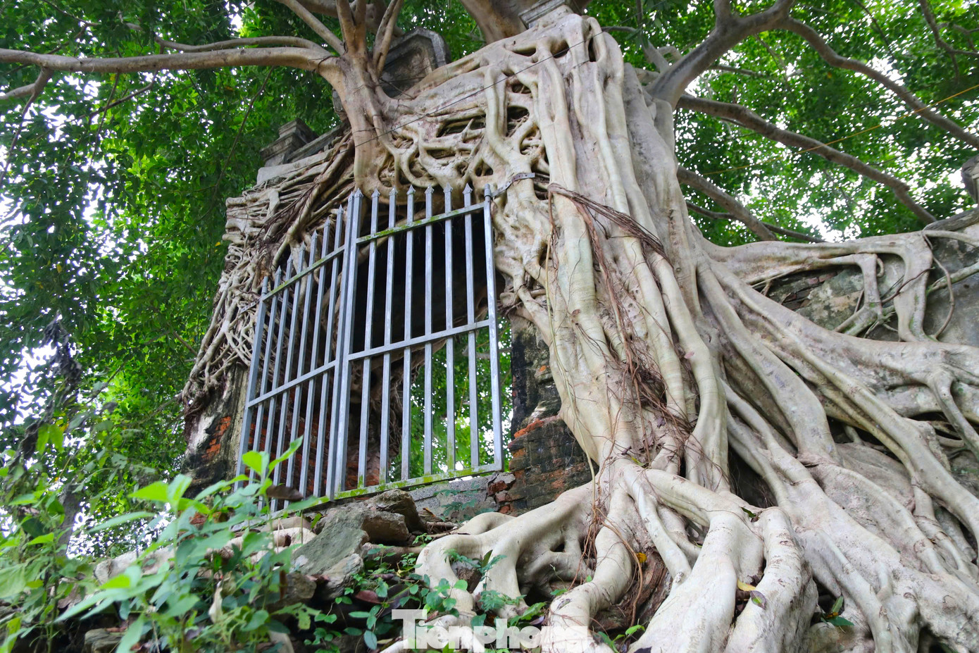 Cổng phủ Tương đứng uy nghi, trầm mặc tạo nên một vẻ đẹp hoang sơ, hùng vĩ. Nơi đây đã trở thành điểm du lịch thu hút du khách mỗi khi ghé về huyện Tương Dương.