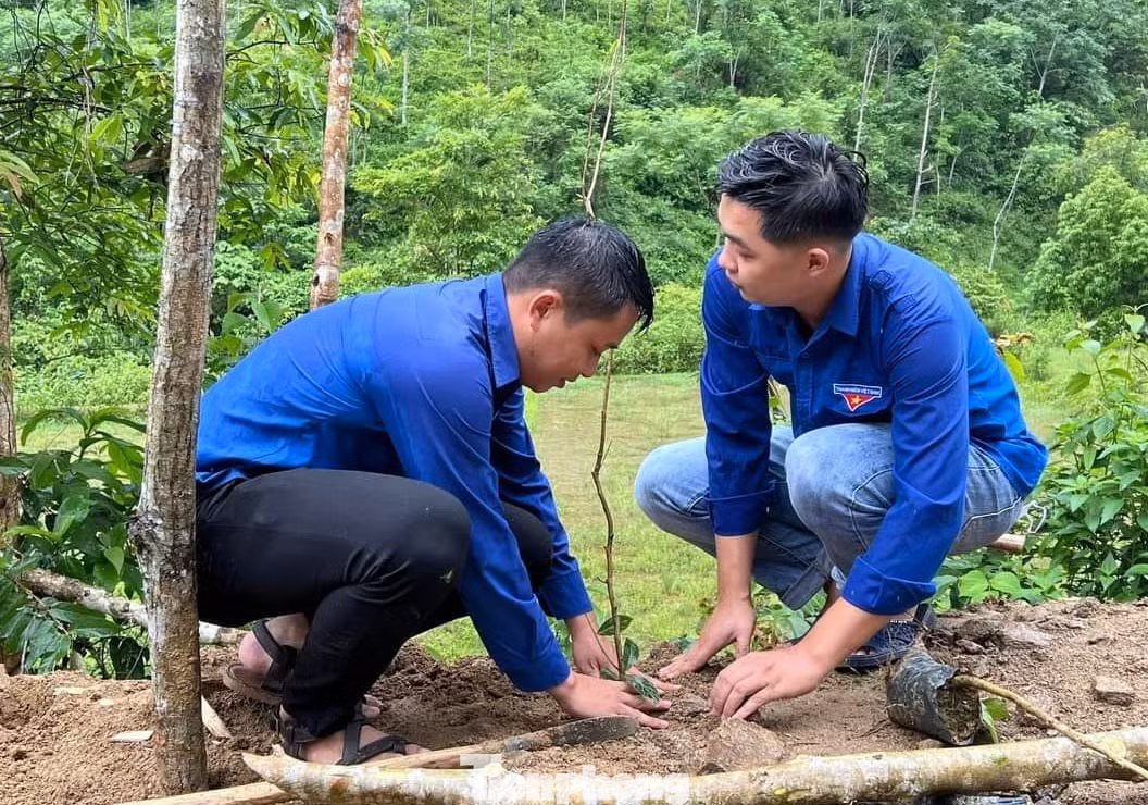 Trong ảnh, các đoàn viên thanh niên ở huyện biên giới Tương Dương trồng cây xanh hưởng ứng lễ ra quân.