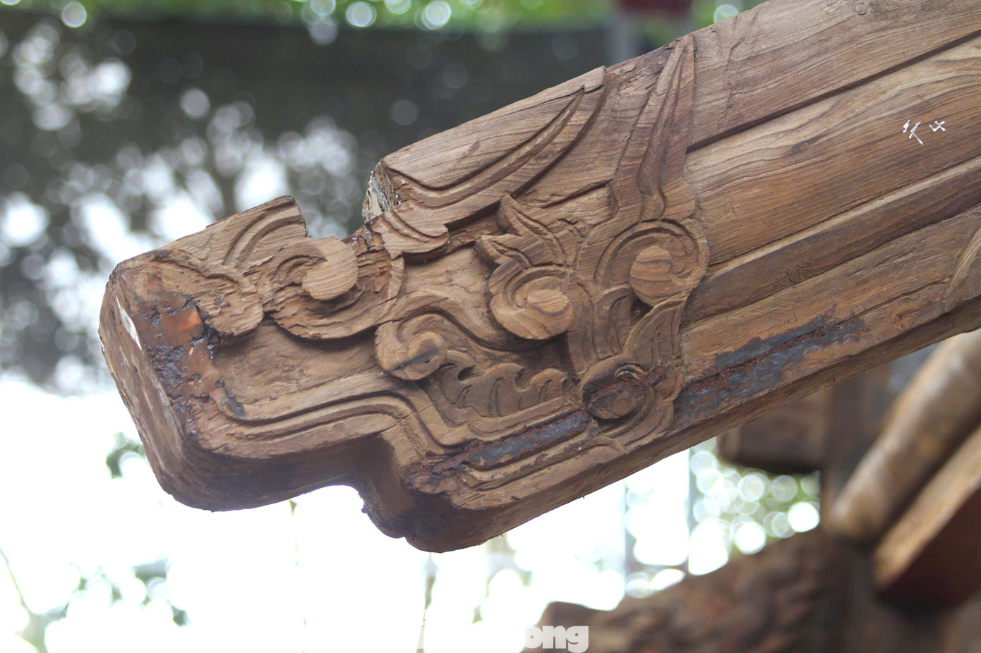 Bộ khung nhà của đình được ví như một bức tranh tổng thể sinh động, đầy màu sắc. Các khung gỗ trong đình đều được nghệ nhân chạm trổ tinh xảo với đề tài “tứ linh” (Long, Ly, Quy, Phượng), "tứ quý" (tùng, cúc, trúc, mai).