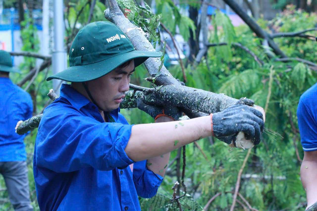 Những cành cây gãy đổ dần được dọn dẹp đi khỏi hiện trường để trả lại hiện trạng sạch sẽ.