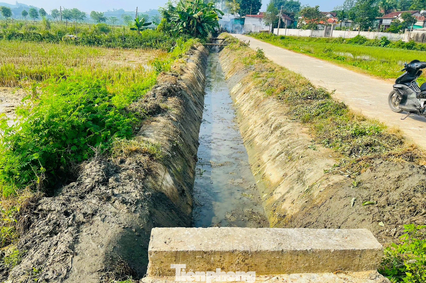 Những tuyến mương thủy lợi sau khi được nạo vét có thể thuận tiện cho việc dẫn nước tưới tiêu, phục vụ sản xuất nông nghiệp.