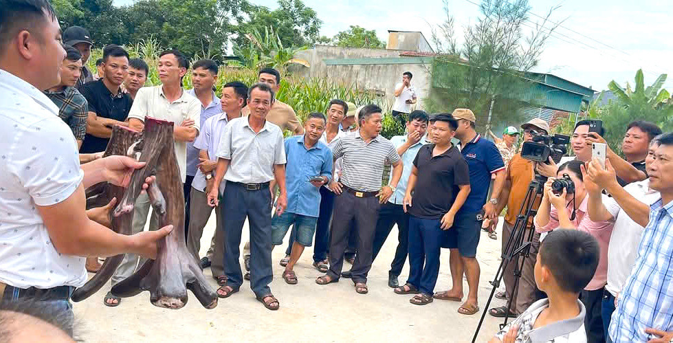 Nghe tin anh Sinh cắt bán cặp nhung nai khủng, rất đông người dân trong và ngoài huyện đến xem.