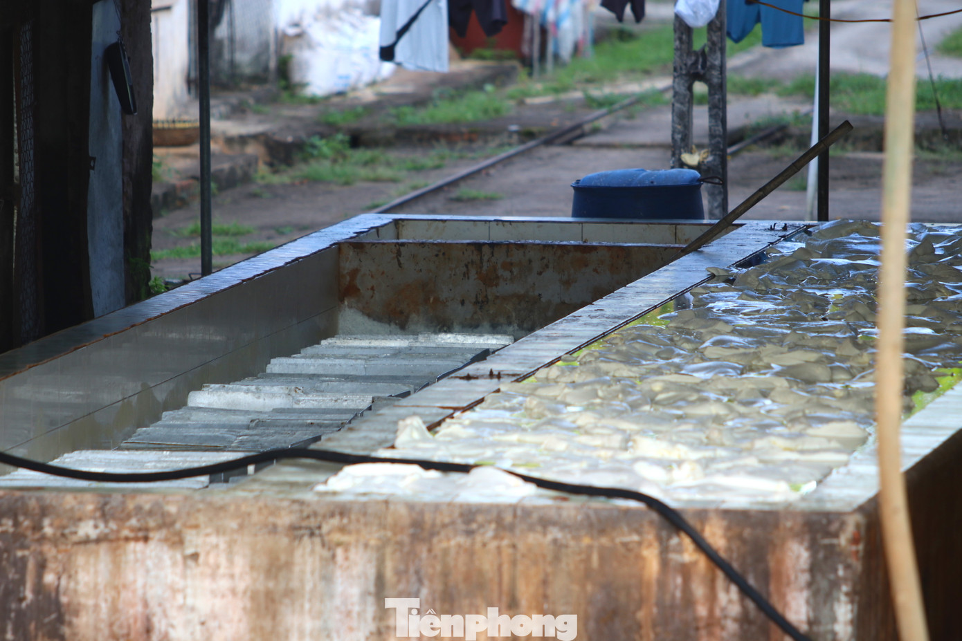 Bên trong xưởng có nhiều bể ngâm cao su, mỗi khi hoạt động thải ra khói đen, mùi hôi thối.