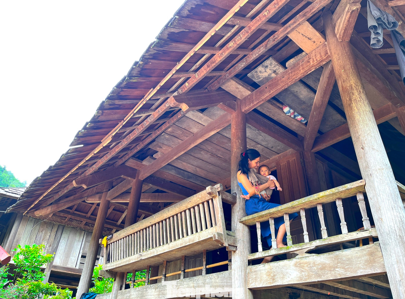 Loại gỗ samu này bền, có tinh dầu rất thơm đặc biệt không có mối mọt và có thể xua đuổi côn trùng, ruồi muỗi nên người dân rất thích. Trời nắng, nhiệt độ nóng làm cho các tấm gỗ samu trên mái nhà cong vênh, tạo ra những khe hở, có gió lùa vào trong nhà rất thoáng mát. Mùa đông mưa lạnh, những tấm gỗ trên mái co khít lại vừa che mưa, vừa chắn gió lạnh.