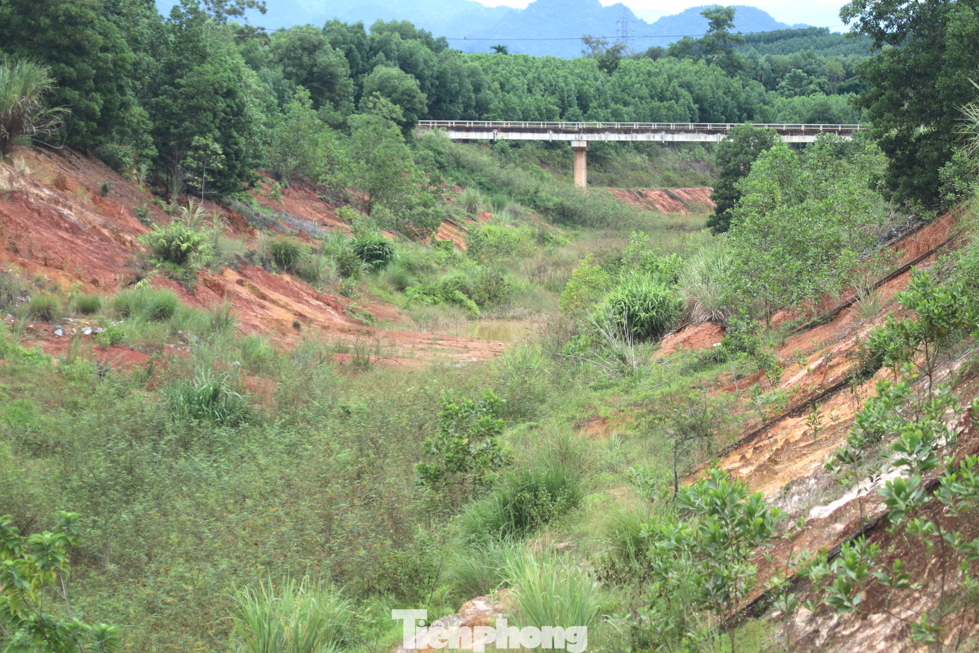 Kênh tiêu Châu Bình được đào sâu bình quân từ 12 - 15m. Mái kênh được đắp bằng đất, xung quanh có các rãnh mương dọc, ngang gia cố. Dọc theo tuyến kênh có nhiều cây cầu được xây dựng bắc ngang qua nối 2 bên bờ. Dưới chân cầu và mố cầu được làm bê tông, có đoạn gia cố thêm đá.