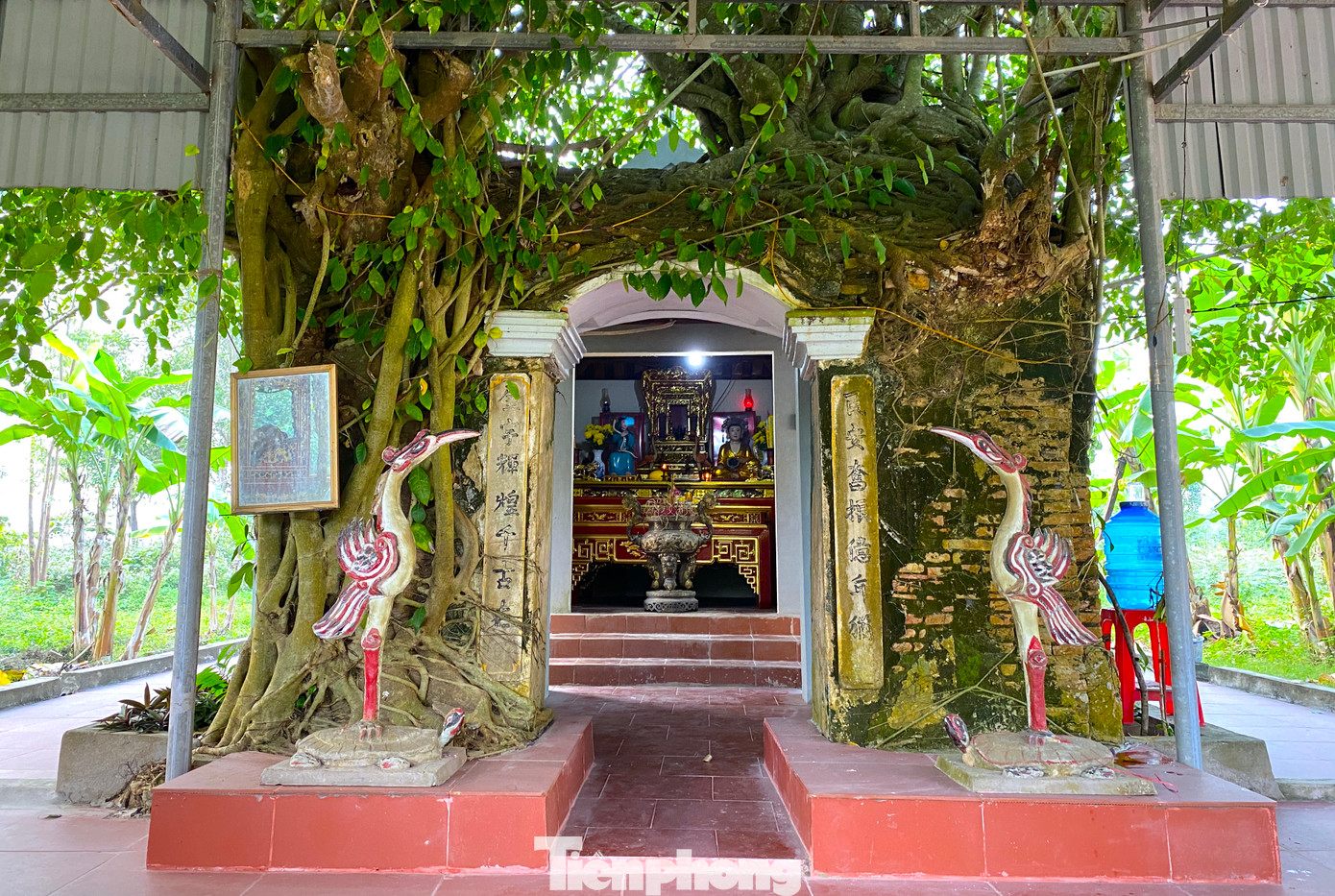 Am nhỏ bên trong Đền Canh thờ vợ chồng ông Hoàng Phúc Hữu và bà Vũ Thị Quyên - thân sinh 2 rắn thần.