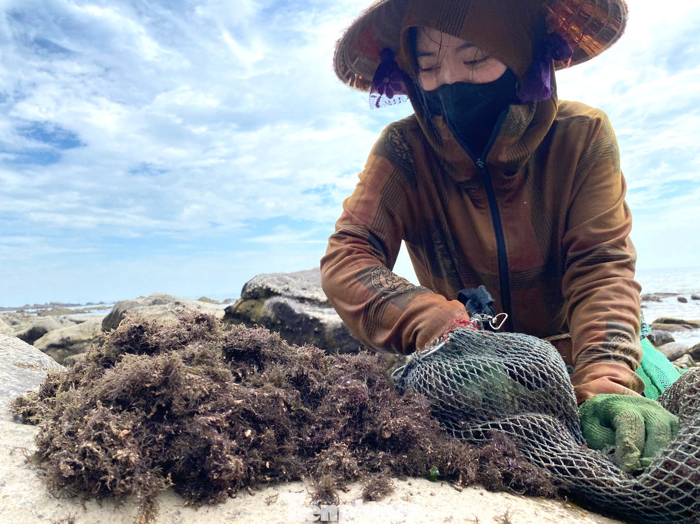 "Ngày nhiều thì kiếm được 6-7kg rong biển, về phơi khô thì được 5-6 lượng rau khô, bán được khoảng 400 nghìn đồng đến 500 nghìn đồng. Nhưng tùy ngày nhiều ngày ít, cũng có thêm tiền trang trải cuộc sống", chị Thắm nói thêm. "Ngày nhiều thì kiếm được 6-7kg rong biển, về phơi khô thì được 5-6 lượng rau khô, bán được khoảng 400 nghìn đồng đến 500 nghìn đồng. Nhưng tùy ngày nhiều ngày ít, cũng có thêm tiền trang trải cuộc sống", chị Thắm nói thêm.