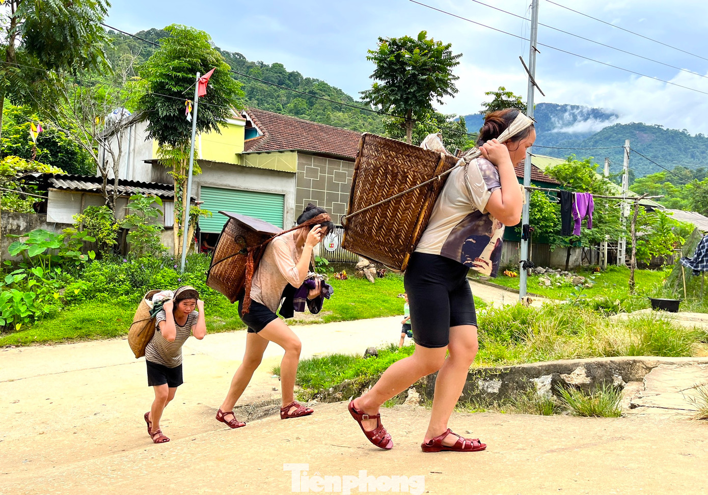 Vào tháng 8, tháng 9, phụ nữ xã Hạnh Dịch (huyện Quế Phong, Nghệ An) lại đều đặn sáng vào rừng, trưa hoặc chiều gùi những bì măng ra bán. Đây là thành quả cả ngày làm việc mệt nhọc trong rừng.