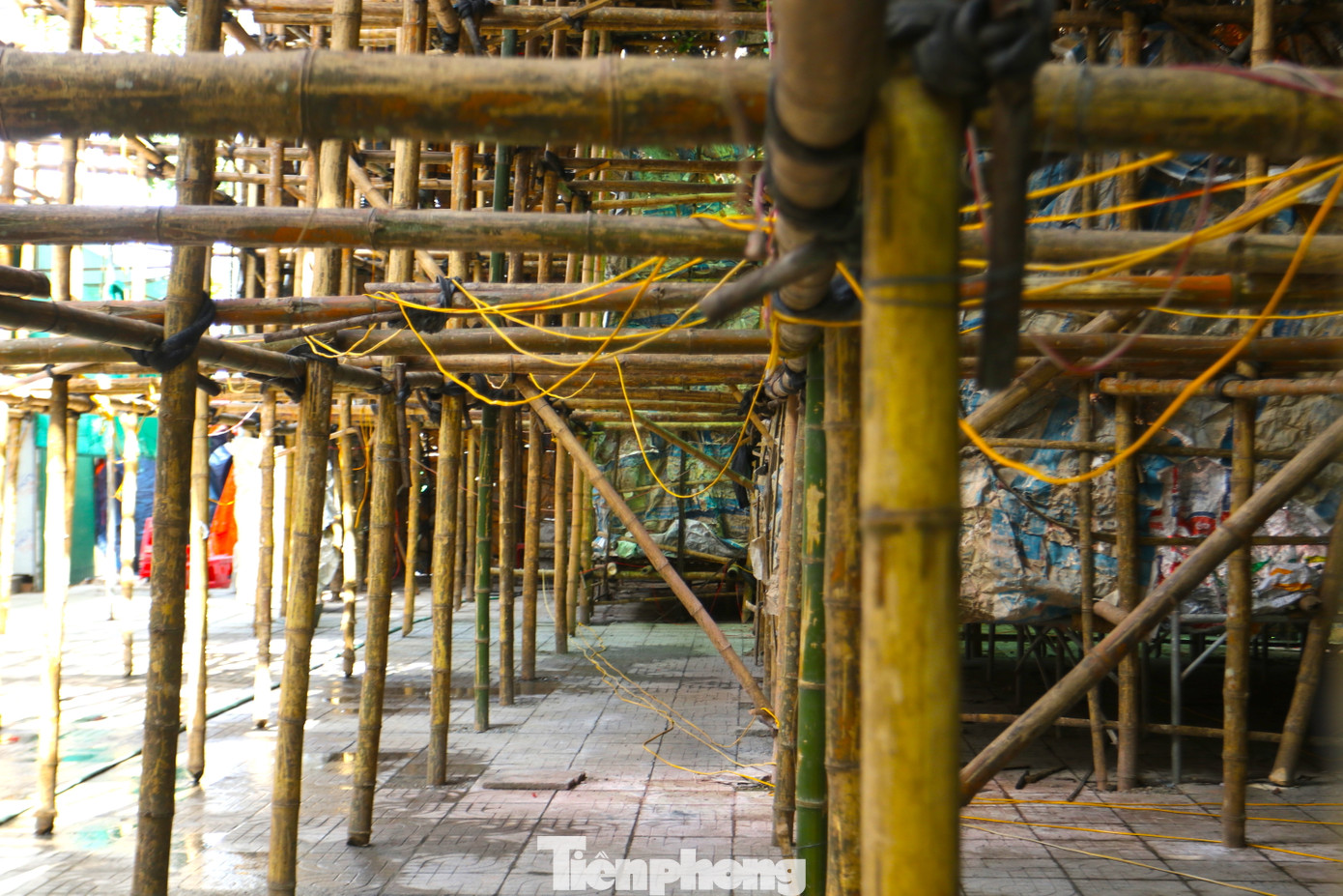 Để chằng níu những cây mét thêm chắc chắn, người dân dùng 2 tạ dây thép và hơn 4 tấn dây cao su tận dụng từ những chiếc lốp xe đạp cũ. Để chằng níu những cây mét thêm chắc chắn, người dân dùng 2 tạ dây thép và hơn 4 tấn dây cao su tận dụng từ những chiếc lốp xe đạp cũ.