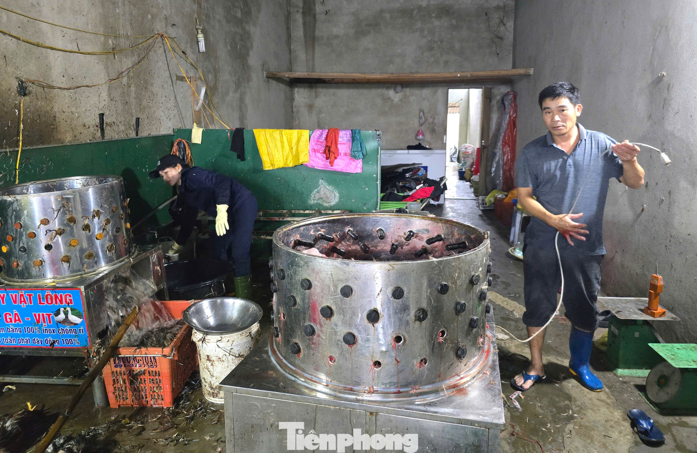 "Một lúc chết 9.000 con gà, thiệt hại là rất lớn. UBND xã cũng kêu gọi người dân đến giải cứu giúp hộ gia đình giảm bớt phần nào thiệt hại” - ông Chu Văn Mai - Chủ tịch UBND xã Nghi Ân nói.