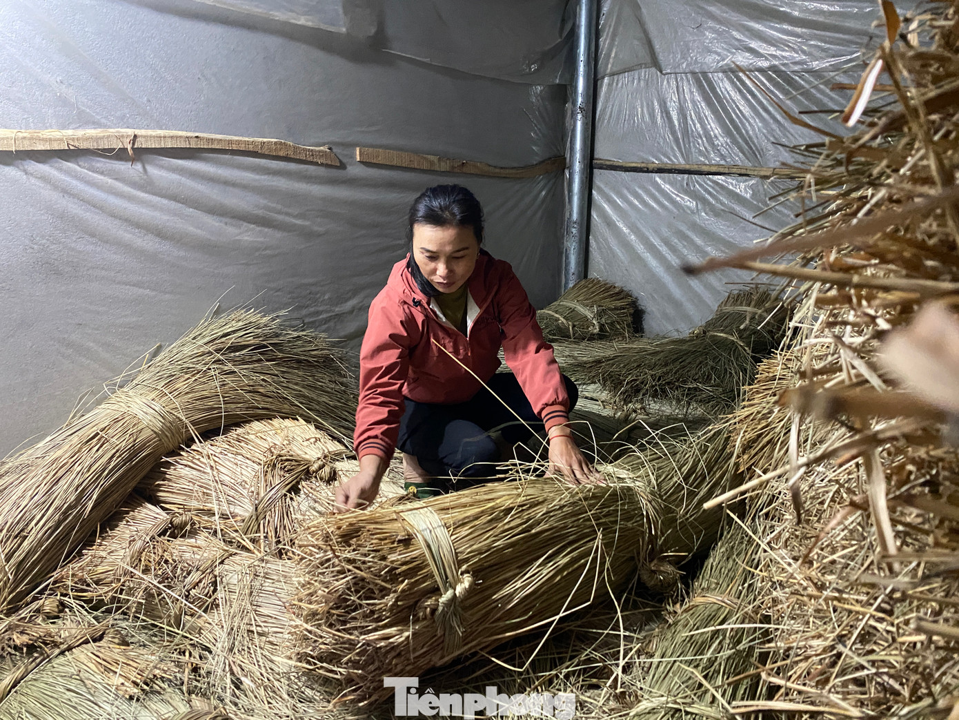 Cói từng được coi là một loại cỏ không có lợi, gây ách tắc dòng chảy. Thế nhưng, với xu thế “sống xanh”, những cây cói đang trở thành nguyên liệu chính sản xuất đồ thủ công mỹ nghệ của nhiều cơ sở, tạo công ăn việc làm cho người lao động. Nổi bật trong đó là Hợp tác xã thủ công mỹ nghệ cói xâu của chị Trương Thị Hân (xã Thọ Thành, Yên Thành, Nghệ An) đã giúp nhiều phụ nữ nhàn rỗi, những người khuyết tật có công ăn việc làm ổn định, từng bước vươn lên xóa đói giảm nghèo.