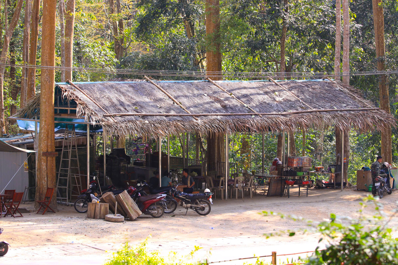 Mỗi khi đi qua khu rừng, du khách đều dừng lại nghỉ ngơi, hít hà không khí trong lành, sảng khoái. Hai bên đường, người dân dựng các chòi lá bán nước phục vụ du khách. Mỗi khi đi qua khu rừng, du khách đều dừng lại nghỉ ngơi, hít hà không khí trong lành, sảng khoái. Hai bên đường, người dân dựng các chòi lá bán nước phục vụ du khách.