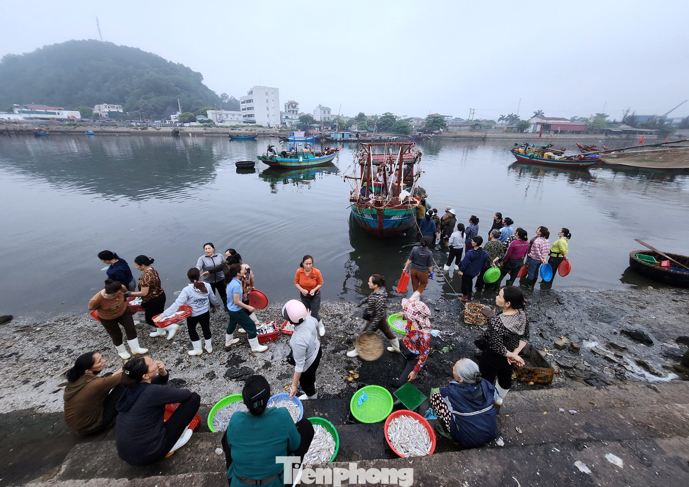 Trên bờ, các ngư dân, tiểu thương đã ngồi chờ sẵn. Mỗi khi tàu thuyền về, người dân lại lội ra để nhận những giỏ nhựa đầy tôm, cá... Hải sản ở bến cá Nghi Thủy rất đa dạng với nhiều loại như cá thu, cá bạc má, cá nục, tôm, cua, ghẹ. Những giỏ hải sản tươi rói được các tiểu thương chia phần nhau mua ngay tại bến.