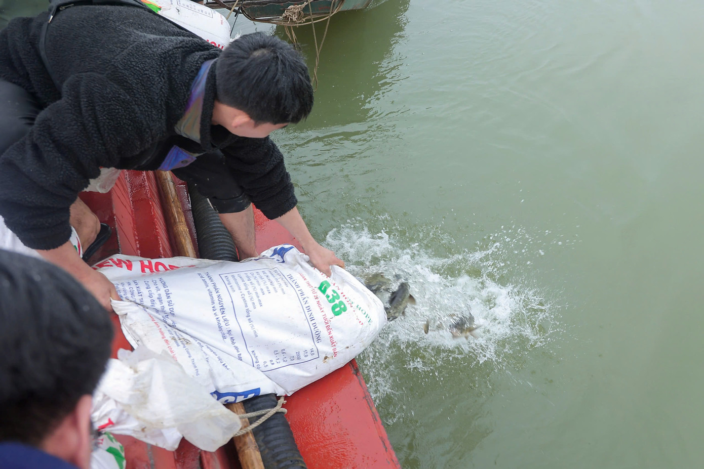 Việc thả cá được thực hiện nhẹ nhàng để đảm bảo tất cả số cá phóng sinh đều mạnh khỏe khi trở về môi trường sông nước.