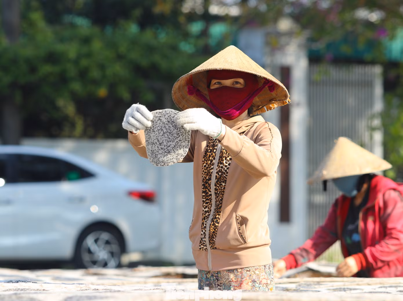 "3 tạ gạo làm ra được khoảng 10 nghìn chiếc bánh. Có ngày làm từ 3-4 tạ gạo. Tính ra mỗi tháng làm được khoảng 150tr. Bánh sau khi được tráng bằng máy thợ sẽ đưa ra nắng phơi nên cứ trời nắng là vui. Tùy vào khách đặt bánh nướng sẵn hoặc chưa nướng để đóng gói giao cho khách", anh Nguyễn Như Kiểu chia sẻ. "3 tạ gạo làm ra được khoảng 10 nghìn chiếc bánh. Có ngày làm từ 3-4 tạ gạo. Tính ra mỗi tháng làm được khoảng 150tr. Bánh sau khi được tráng bằng máy thợ sẽ đưa ra nắng phơi nên cứ trời nắng là vui. Tùy vào khách đặt bánh nướng sẵn hoặc chưa nướng để đóng gói giao cho khách", anh Nguyễn Như Kiểu chia sẻ.