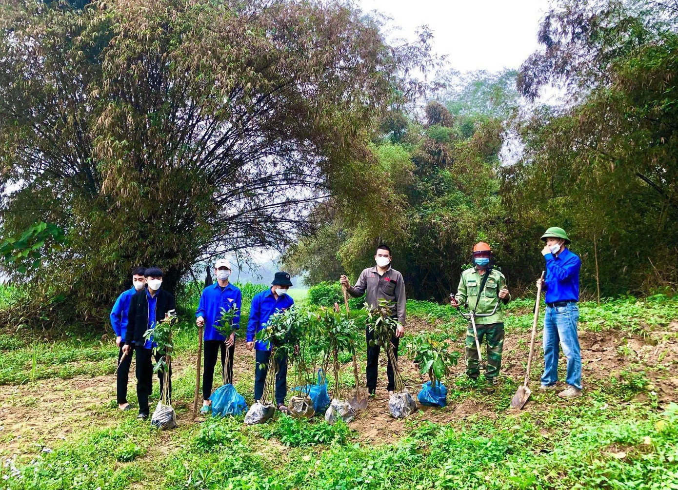 Đoàn viên thanh niên chuẩn bị những giống cây trồng phù hợp với khu vực địa phương để trồng, đảm bảo cây phát triển tốt, phù hợp. Đoàn viên thanh niên chuẩn bị những giống cây trồng phù hợp với khu vực địa phương để trồng, đảm bảo cây phát triển tốt, phù hợp.