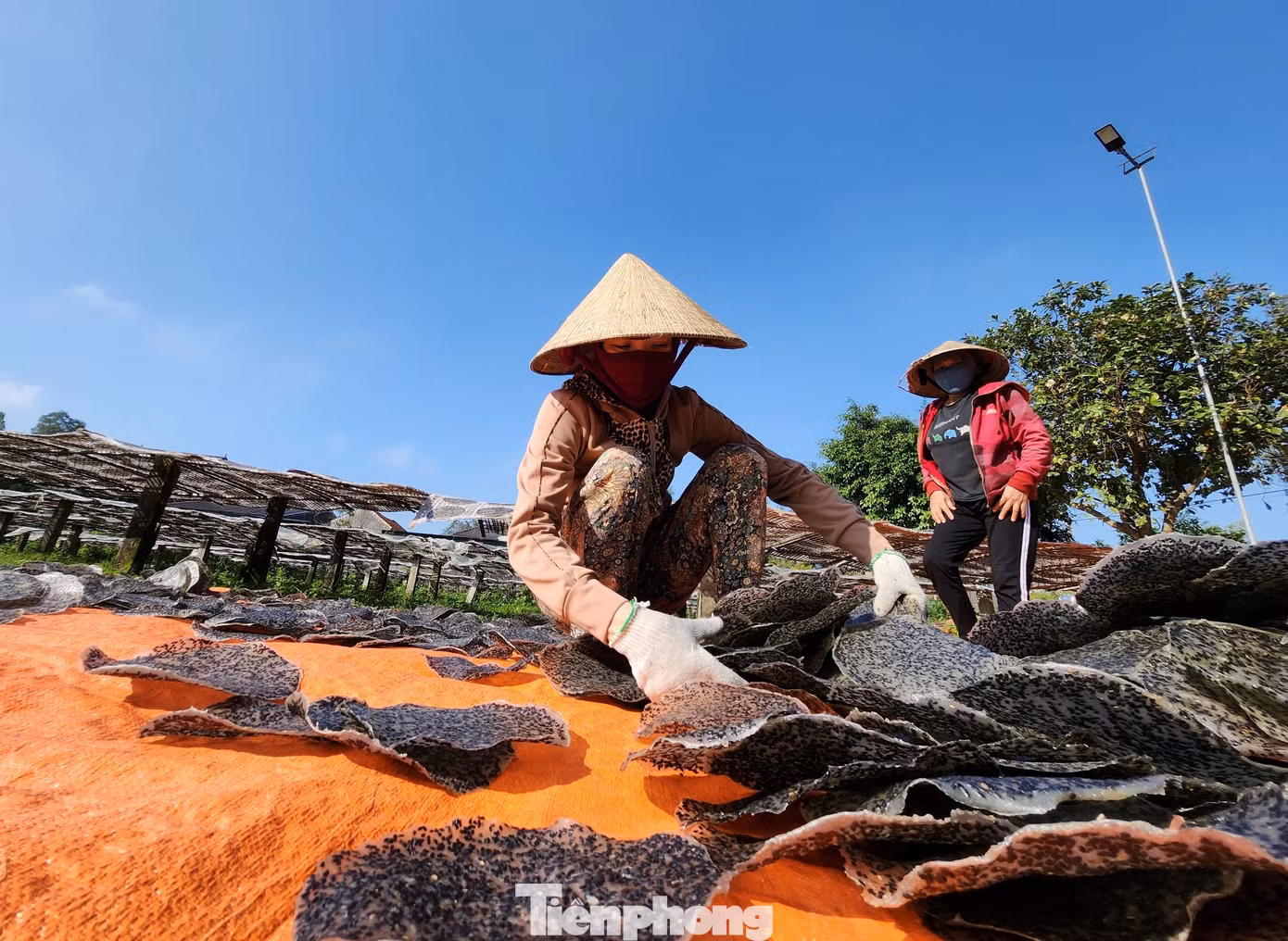 Khi bánh được phơi khô, những người thợ lại ra thu gom vào rồi tiếp tục mang những mẻ bánh mới ra phơi nắng. Khi bánh được phơi khô, những người thợ lại ra thu gom vào rồi tiếp tục mang những mẻ bánh mới ra phơi nắng.