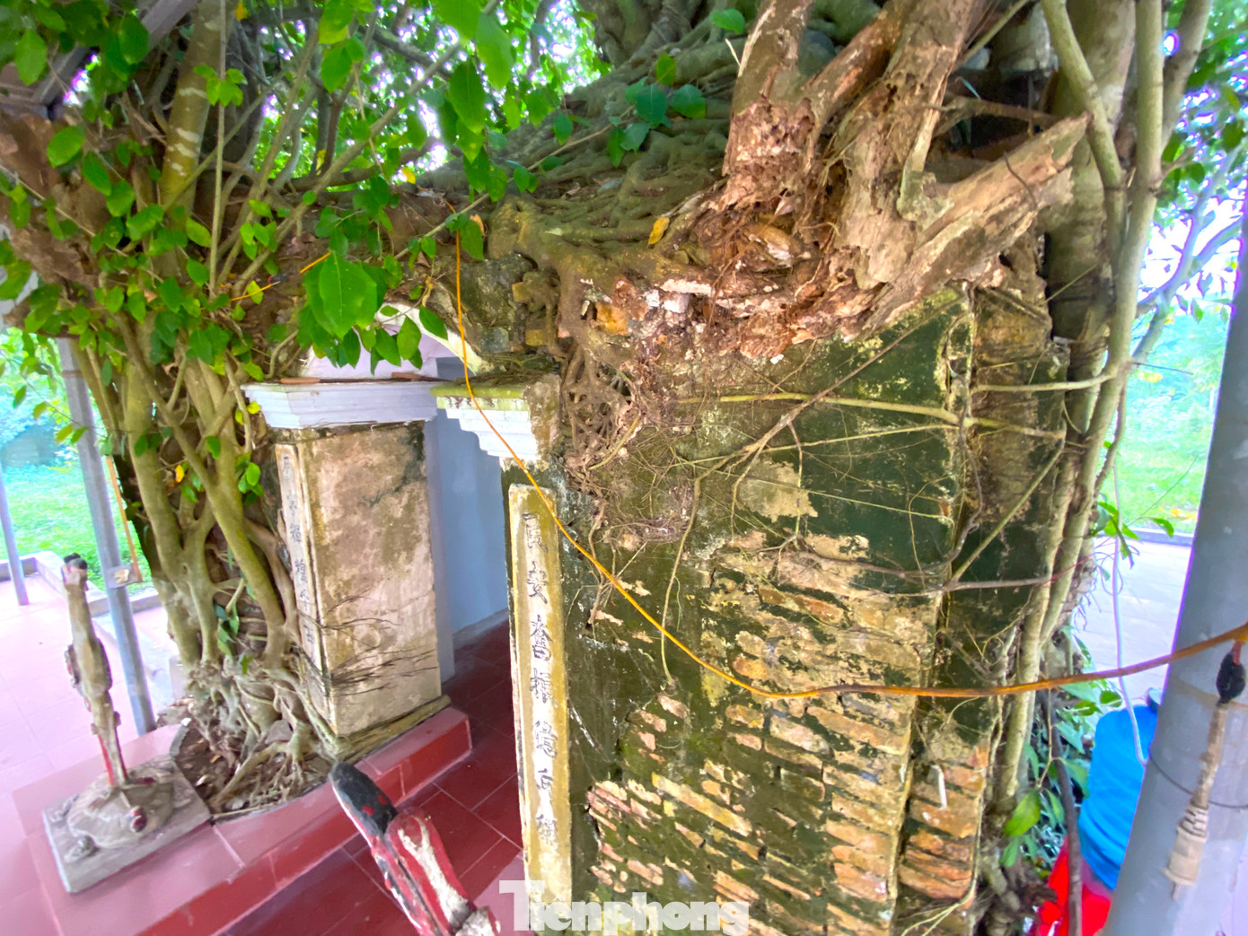 Toàn bộ am thờ được một cây xanh cổ thụ ôm kín, tạo nên vẻ cổ kính, huyền bí.