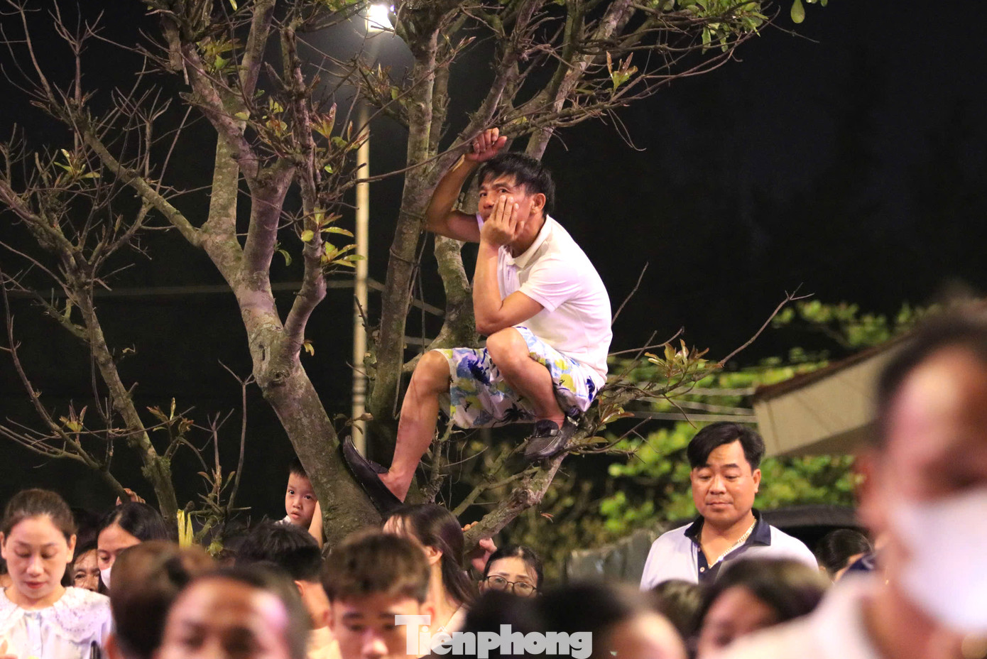 Một người đàn ông trèo lên cây cao để chờ đón xem màn bắn pháo hoa.