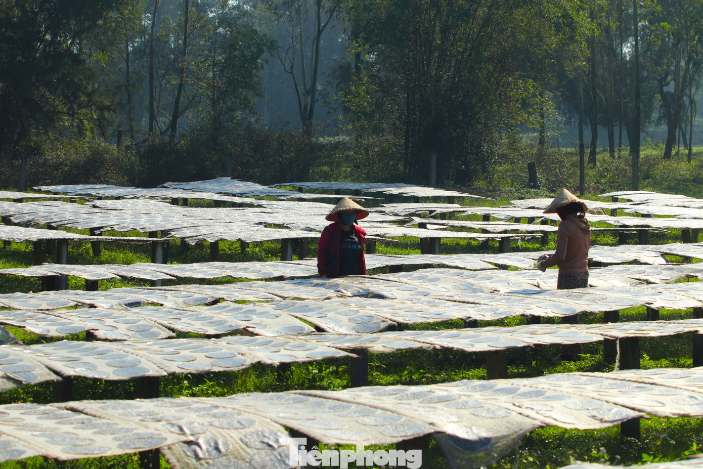 Ở làng Tây Lân, bánh đa được làm quanh năm. Tuy nhiên dịp Tết Nguyên đán mới là dịp tất bật nhất của các cơ sở nơi đây. Bởi đơn hàng nhiều hơn ngày thường, cộng với việc nhu cầu của khách hàng lớn, yêu cầu thời gian, chất lượng nên việc làm bánh cũng bận rộn hơn ngày thường. Ở làng Tây Lân, bánh đa được làm quanh năm. Tuy nhiên dịp Tết Nguyên đán mới là dịp tất bật nhất của các cơ sở nơi đây. Bởi đơn hàng nhiều hơn ngày thường, cộng với việc nhu cầu của khách hàng lớn, yêu cầu thời gian, chất lượng nên việc làm bánh cũng bận rộn hơn ngày thường.