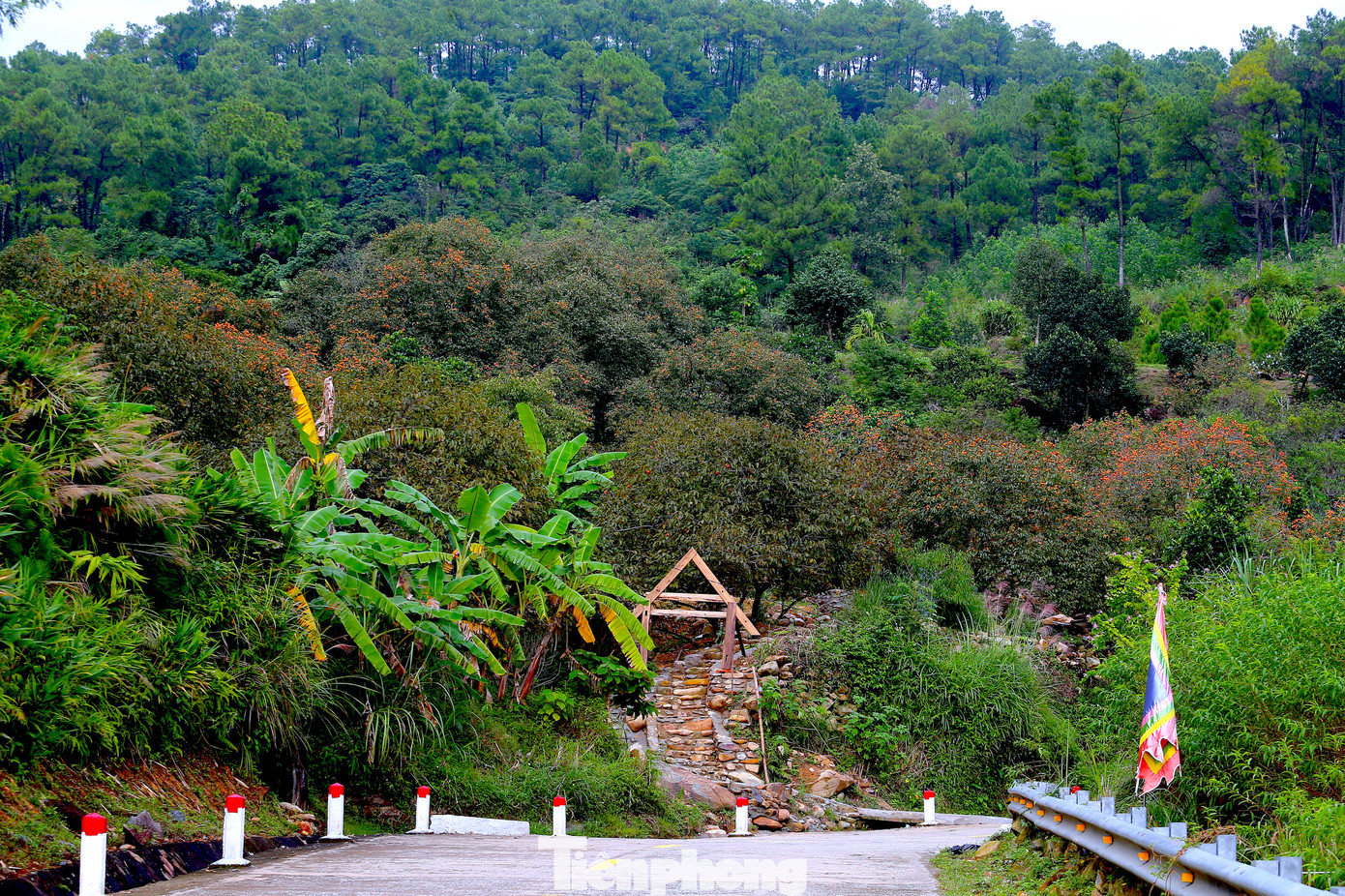 Dưới chân núi Đại Huệ, những vườn hồng của người dân xã Nam Anh (huyện Nam Đàn, Nghệ An) đã chín mọng, đỏ rực. Từ lâu, nơi đây đã trở thành một trong những điểm đến của du khách vào mỗi dịp mùa hồng chín bởi khung cảnh núi rừng hoang sơ, xen lẫn những vườn hồng thơ mộng.