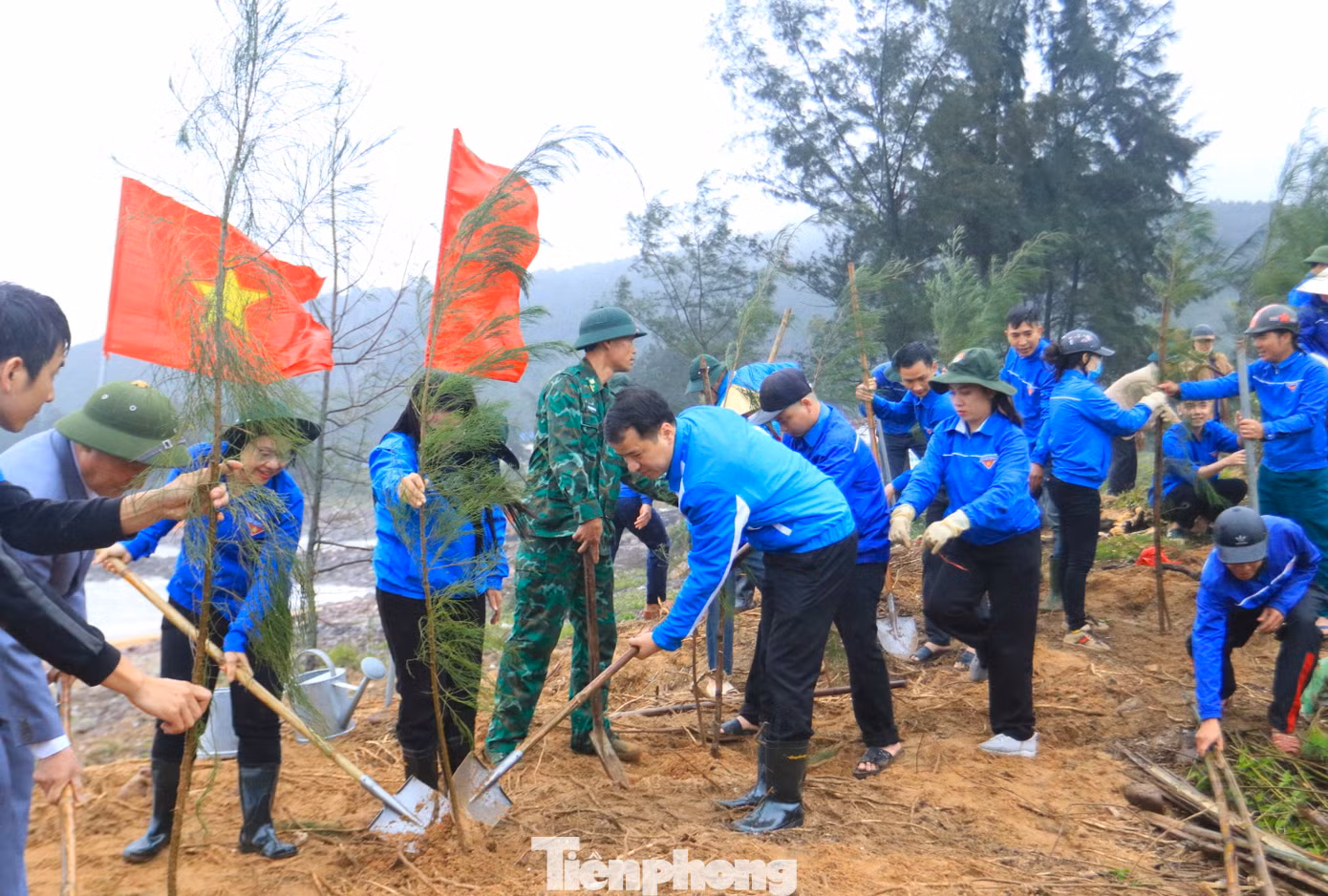 Anh Ngô Văn Cương cùng đoàn trồng những cây phi lao xanh tốt lên rừng phòng hộ ven bờ biển xã Nghi Tiến (huyện Nghi Lộc, Nghệ An).