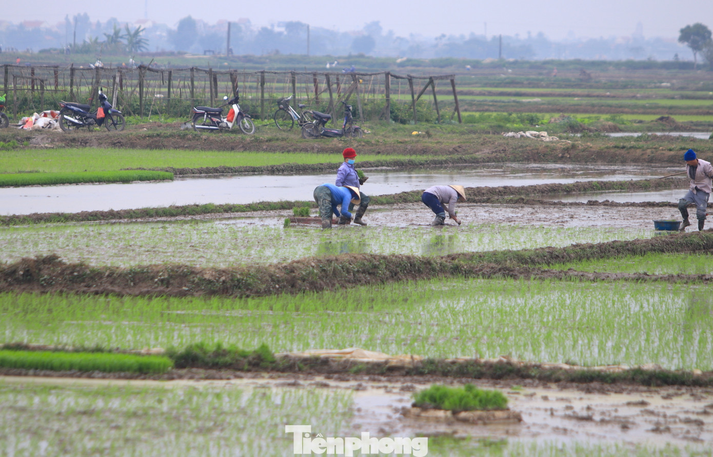 Để tiện liên lạc và di chuyển, chị Oanh tham gia vào các hội nhóm. Mỗi khi có người thuê, nhóm của chị Oanh sẽ sắp xếp lịch, thỏa thuận giá cả, hình thức làm rồi nhận việc.