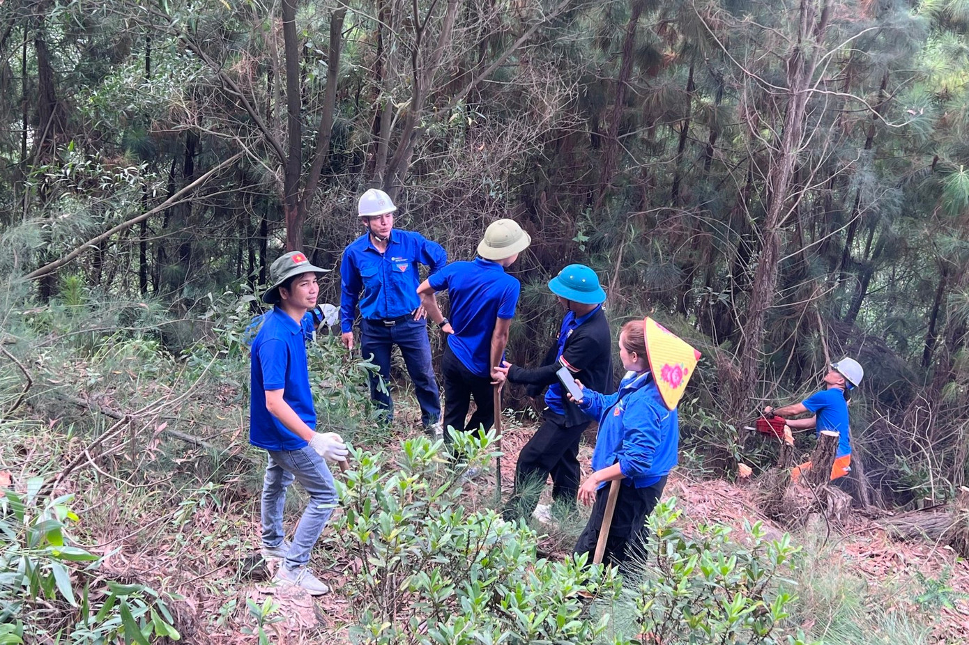 Lên rừng phát quang hành lang đường lưới điện tại địa bàn xã Nghi Thiết (huyện Nghi Lộc, Nghệ An).