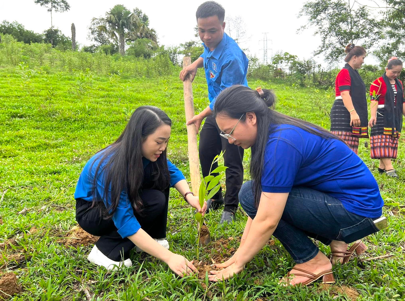 Các đoàn viên và người dân cùng nhau đào đất trồng các cây giống.