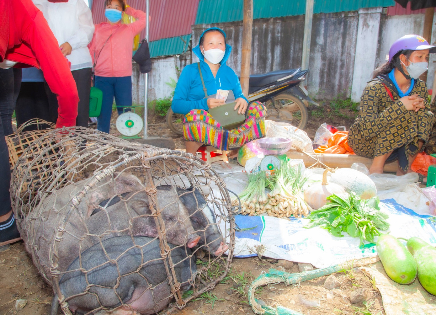Những mớ rau, con lợn do chính người dân trồng và nuôi được đem ra bán. Những mớ rau, con lợn do chính người dân trồng và nuôi được đem ra bán.