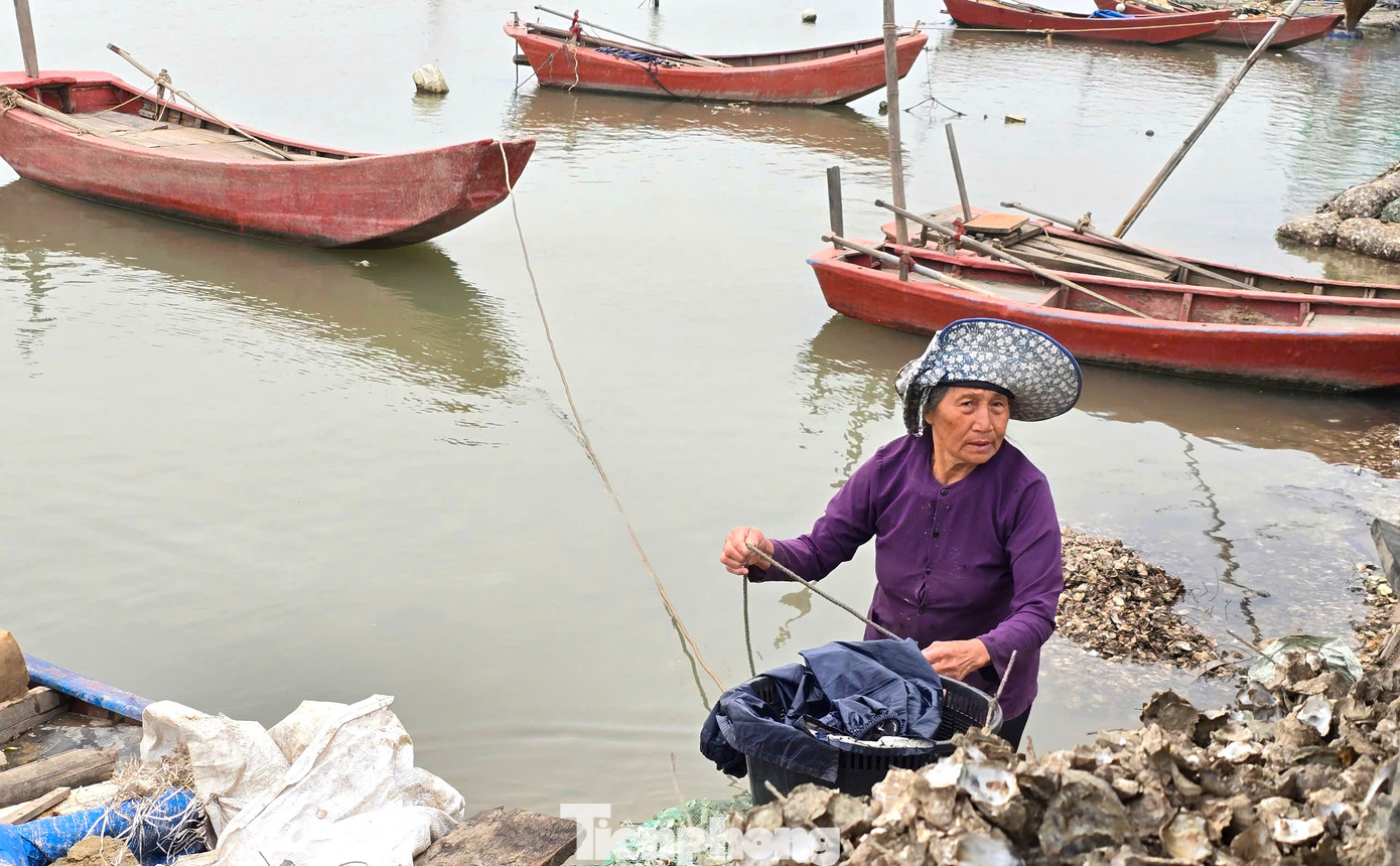 Mỗi ngày, một người có thể đục được từ 5-6kg hàu ruột. Nhiều người trẻ tuổi nhanh nhẹn có thể đục được từ 6-8kg và được trả công từ 200-250 nghìn đồng. "Giờ già rồi không làm được gì nữa thì đi đục hàu thuê. Ngày kiếm ít chục nghìn, ít trăm nghìn góp thêm vào cuộc sống vậy", bà Nguyễn Thị Lương (72 tuổi, trú xã An Hòa) nói. Mỗi ngày, một người có thể đục được từ 5-6kg hàu ruột. Nhiều người trẻ tuổi nhanh nhẹn có thể đục được từ 6-8kg và được trả công từ 200-250 nghìn đồng. "Giờ già rồi không làm được gì nữa thì đi đục hàu thuê. Ngày kiếm ít chục nghìn, ít trăm nghìn góp thêm vào cuộc sống vậy", bà Nguyễn Thị Lương (72 tuổi, trú xã An Hòa) nói.