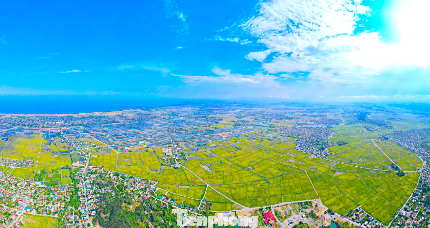 Theo thống kê từ Hội Nông dân tỉnh Nghệ An, năm 2024 tổng diện tích trồng lúa vụ đông xuân toàn tỉnh là khoảng 90-91.000ha. Trong ảnh là cánh đồng lớn ở phường Quỳnh Xuân (thị xã Hoàng Mai) và xã Quỳnh Văn, Quỳnh Bảng (huyện Quỳnh Lưu).