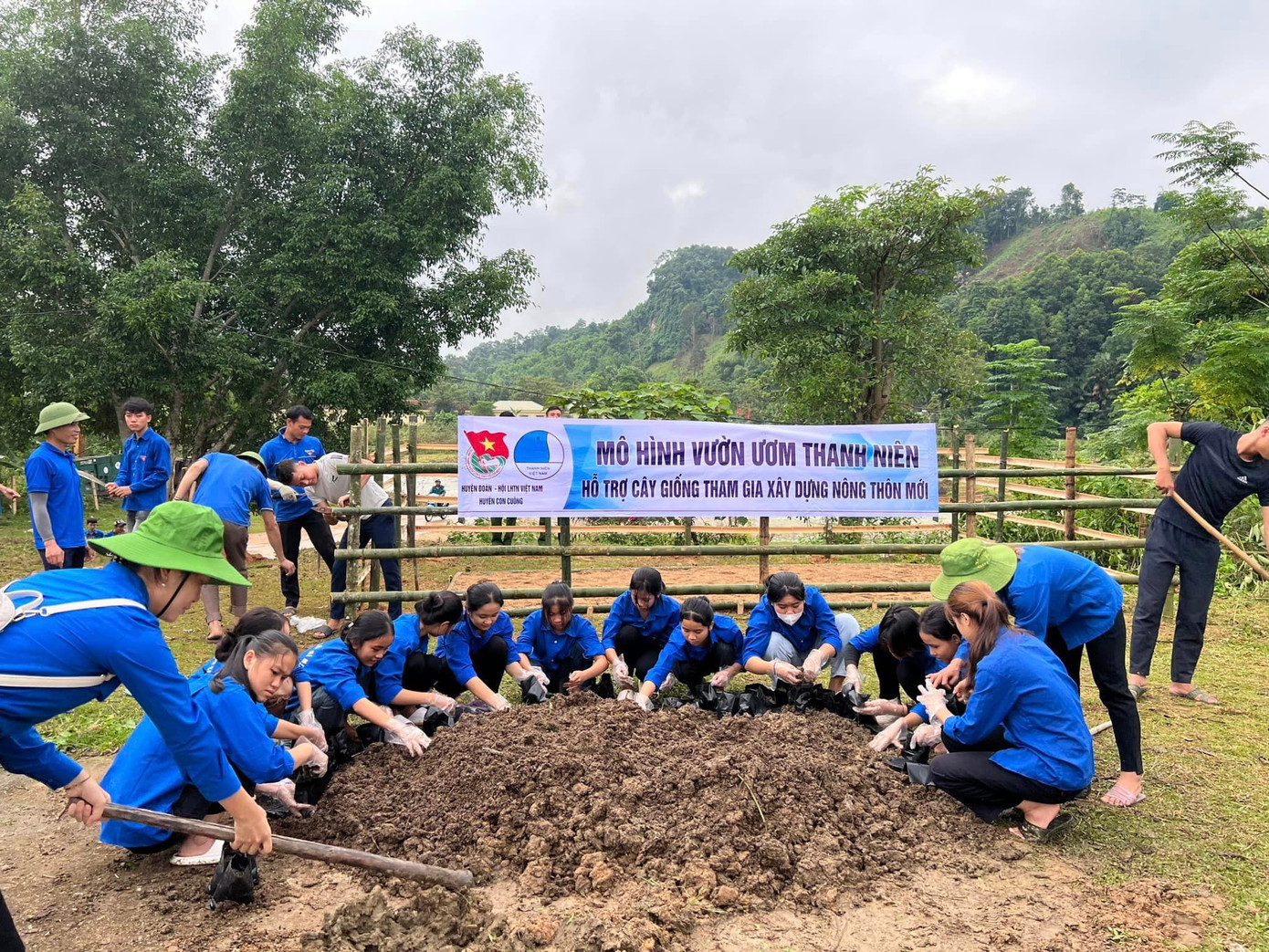 Chị Lữ Thị Băng Châu - Bí thư Huyện đoàn Con Cuông (Nghệ An) cho biết, nhiều năm qua huyện đoàn cùng các đoàn xã, chi đoàn tổ chức nhiều mô hình vườn ươm để nhân giống cây trồng. Hiện trên địa bàn huyện đã có 5 mô hình vườn ươm thanh niên phát triển tích cực.