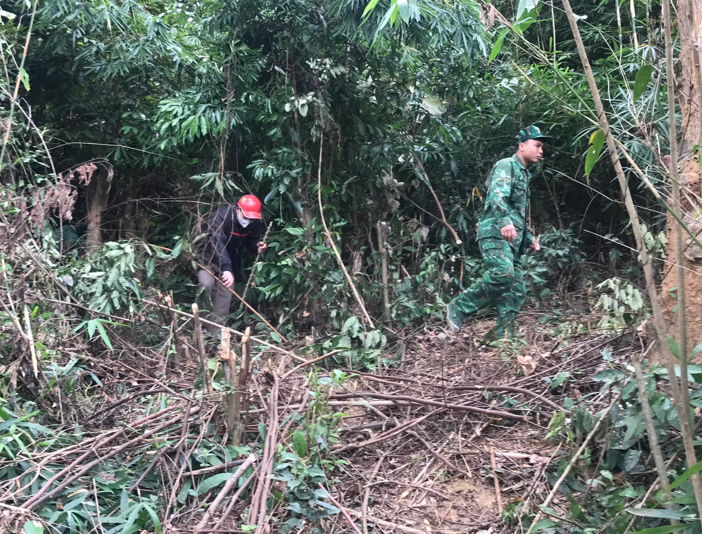 Mọi ngóc ngach, khu vực bụi cây rậm rạp hay khe suối đều được lực lượng chức năng tìm kiếm. Mọi ngóc ngach, khu vực bụi cây rậm rạp hay khe suối đều được lực lượng chức năng tìm kiếm.