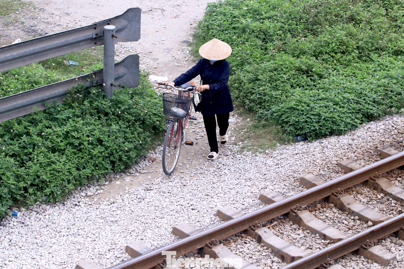 Nhiều lối mòn được người dân tự mở để việc đi lại dễ dàng hơn.