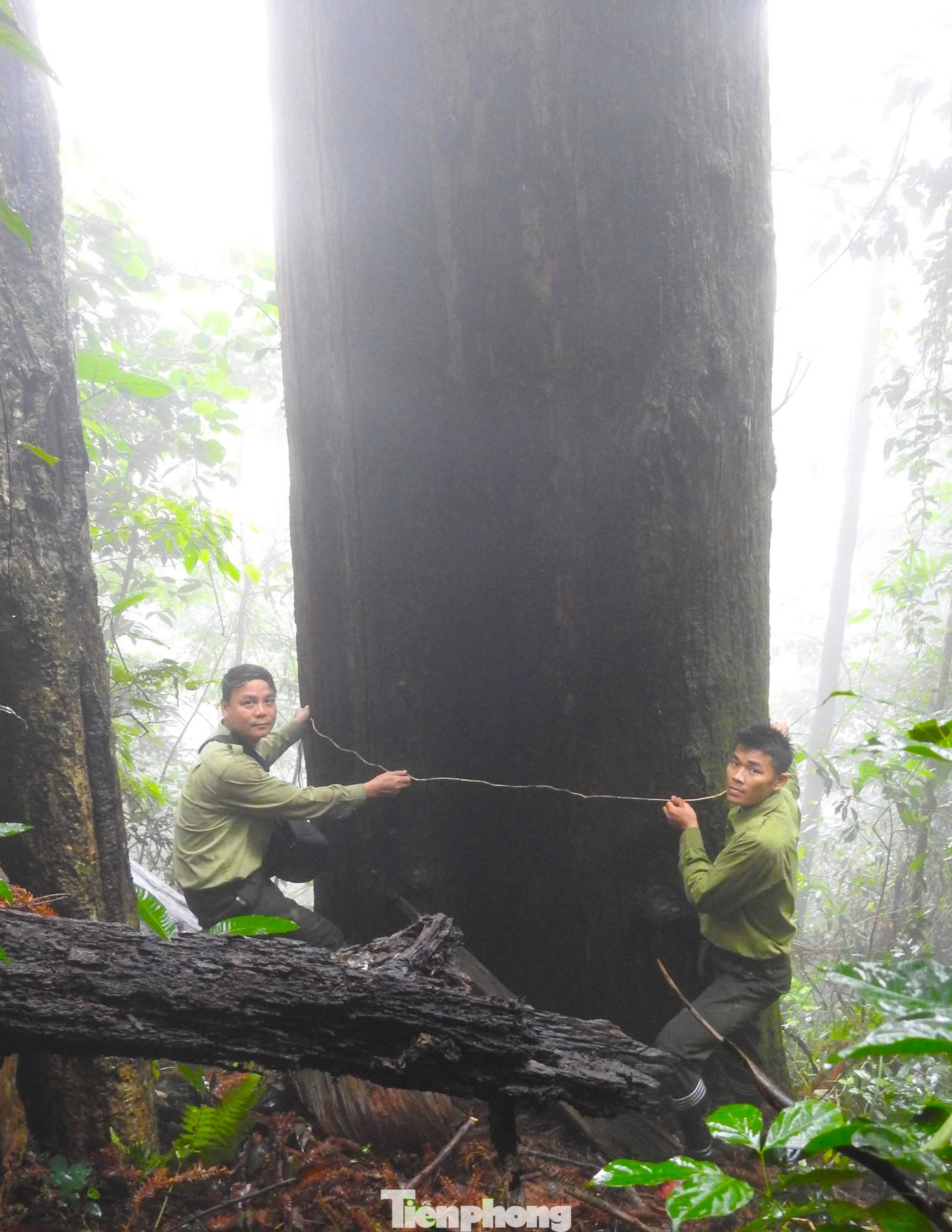 Vườn quốc gia Pù Mát là rừng đa dạng sinh học, với diện tích vùng lõi rộng hơn 94.000ha và vùng đệm rộng 86.000ha. Không chỉ rộng lớn, đa dạng sinh học, nơi đây từng được mệnh danh là “chốn tiên cảnh” tại mảnh đất miền Trung với khung cảnh thiên nhiên tuyệt đẹp, hùng vĩ.