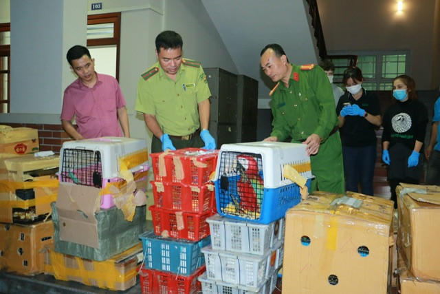 Công an phát hiện gần 2 nghìn cá thể động vật hoang dã trên 2 xe ô tô của V.X.T. và L.Đ.T.