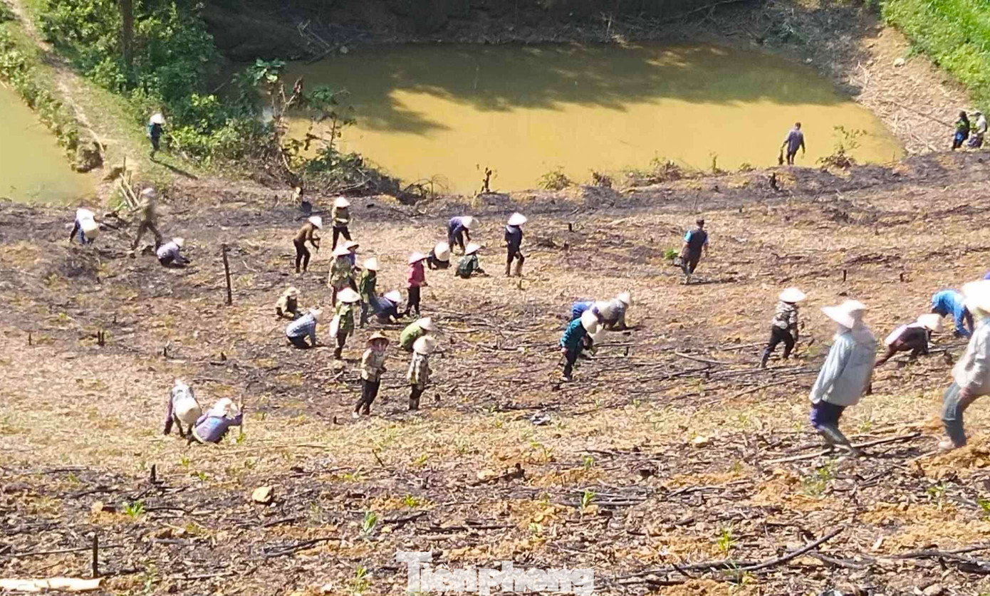 Việc trồng rừng giúp các hộ gia đình có hoàn cảnh khó khăn thể hiện tinh thần tương thân tương ái, tình đoàn kết, giúp đỡ lẫn nhau của các đoàn viên thanh niên và hội viên hội phụ nữ. Từ đó lan tỏa được những việc tốt, hành động đẹp đến với mọi người.