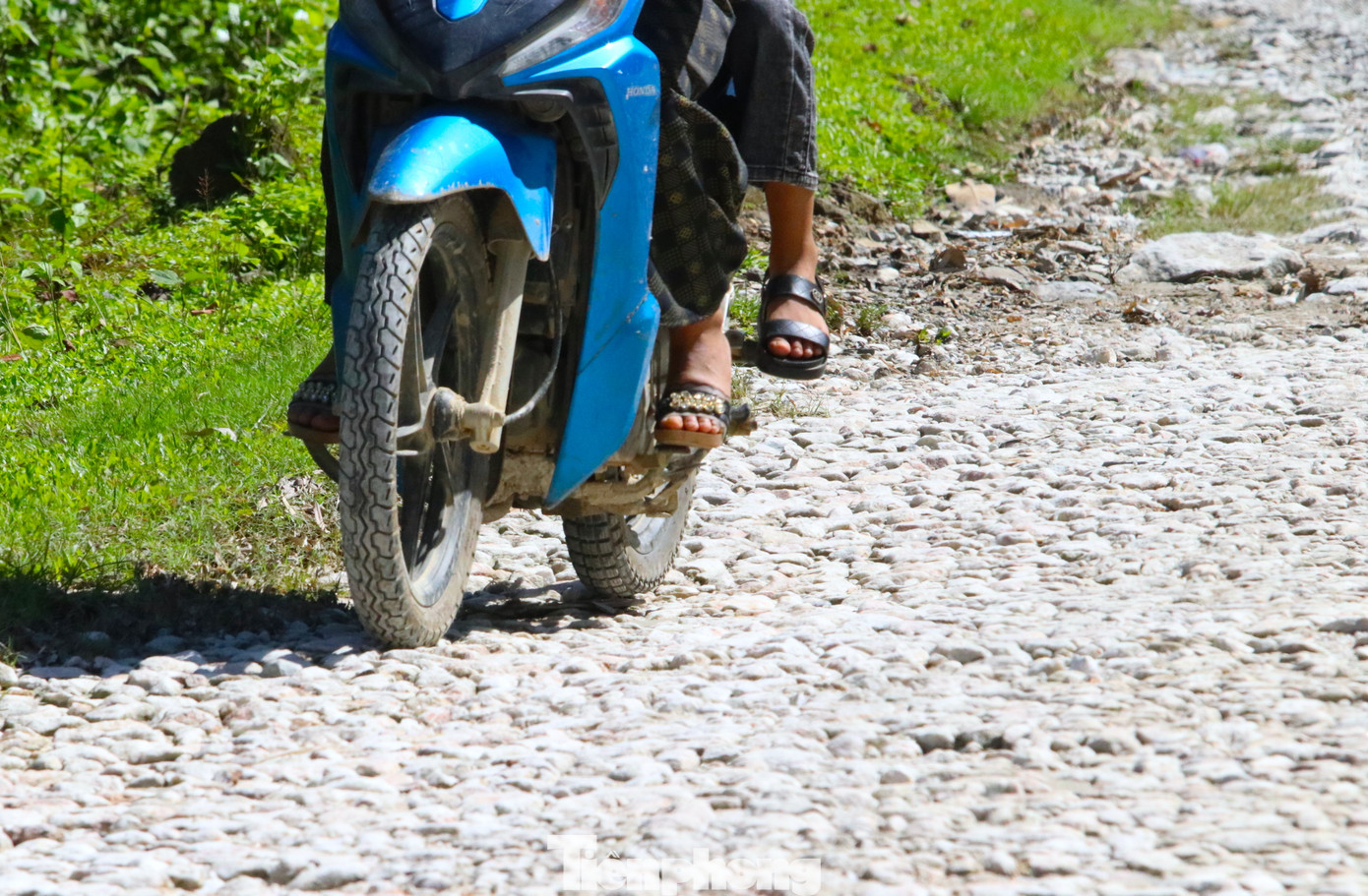 Tuyến đường không còn "lành lặn", người dân mỗi lần đi phải luồn lách qua ổ voi, ổ gà và qua những dải đường xấu đầy đá lởm chởm.