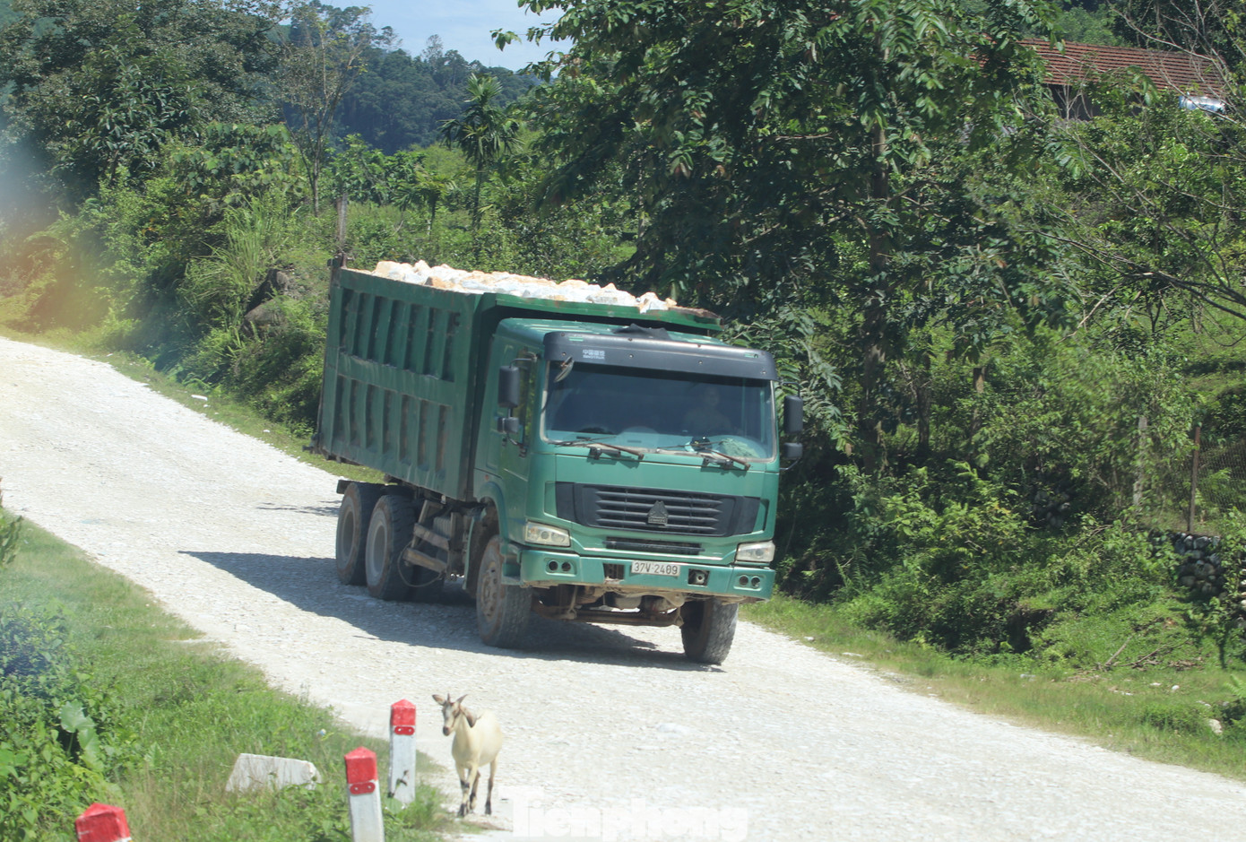 Trên thùng những chiếc xe này là đầy ắp đá trắng với trọng tải lên đến hàng chục tấn.