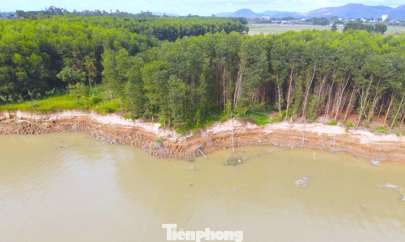 Tình trạng sạt lở xảy ra nghiêm trọng, lấn sâu vào khu vực trồng keo của ông Võ Văn Kỳ khiến một lượng lớn đất bị cuốn trôi, nhiều cây keo bị đổ xuống sông. Tình trạng sạt lở xảy ra nghiêm trọng, lấn sâu vào khu vực trồng keo của ông Võ Văn Kỳ khiến một lượng lớn đất bị cuốn trôi, nhiều cây keo bị đổ xuống sông.