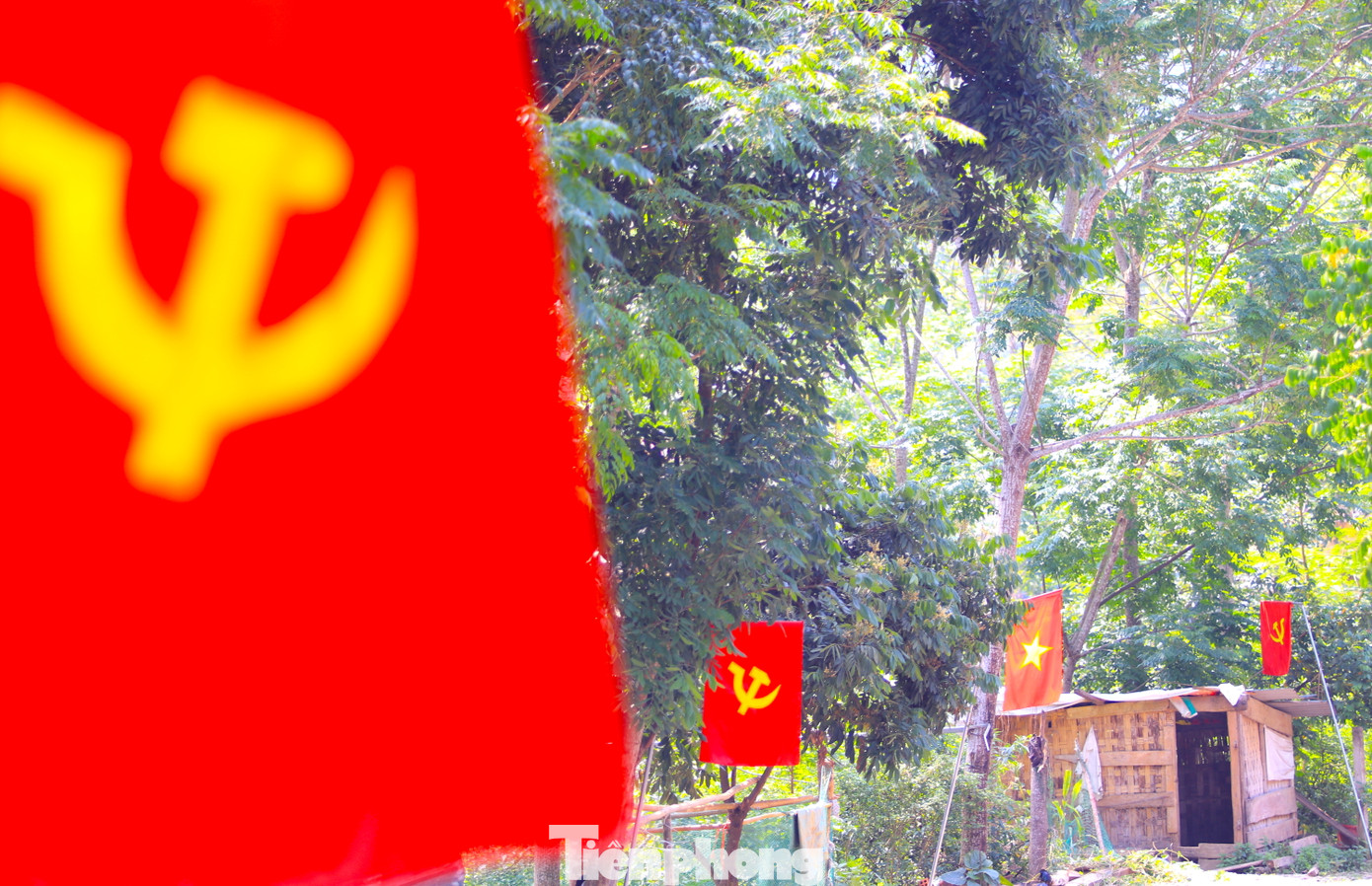 Khắp các con đường lớn nhỏ dẫn vào bản làng ở huyện miền núi Nghệ An đều được trang hoàng cờ hoa rực rỡ. Trong ảnh, lá cờ đỏ sao vàng tung bay rực rỡ khắp các bản làng xã Tam Hợp, huyện Tương Dương, Nghệ An. Ảnh: Ngọc Tú.