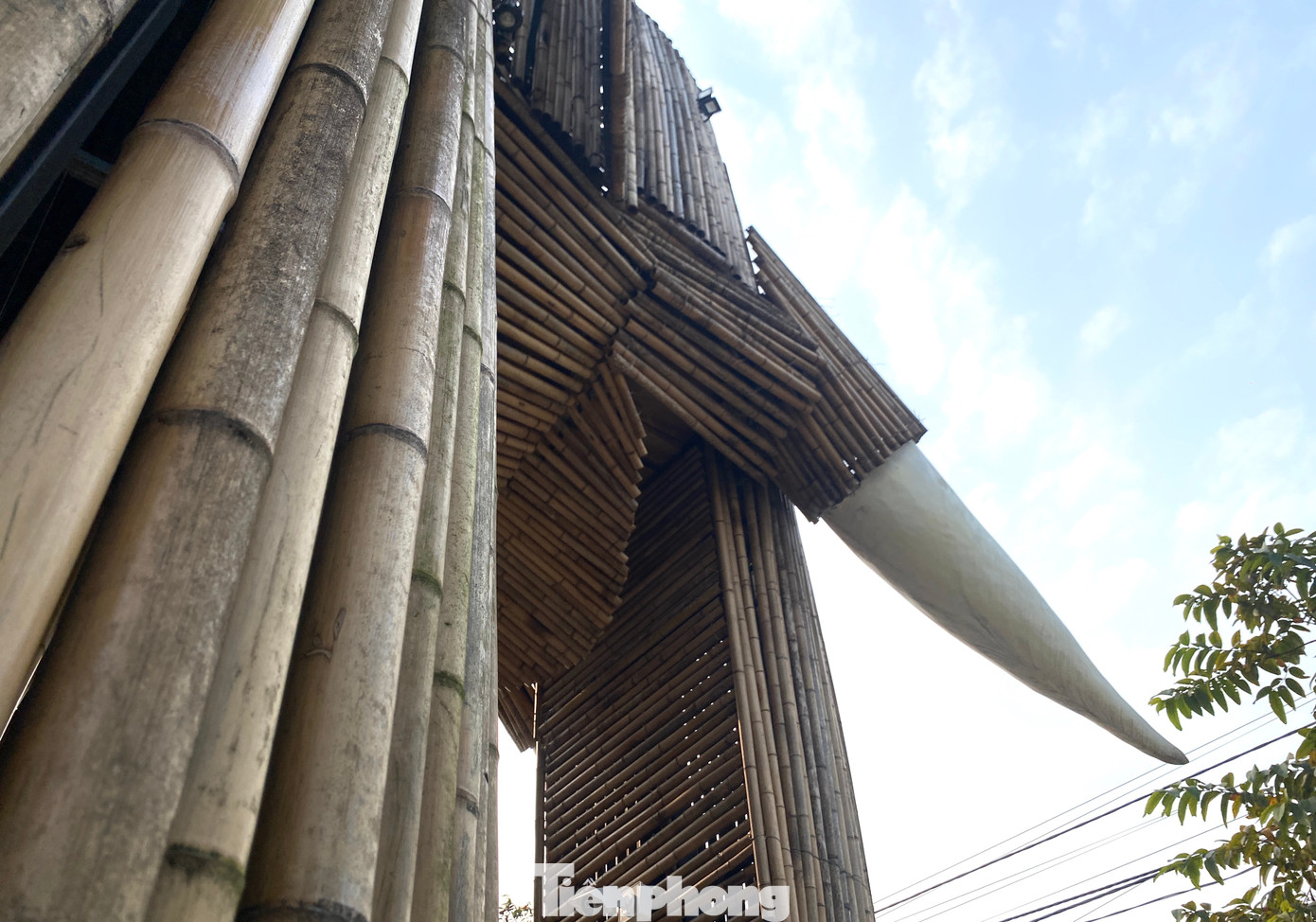 Cặp ngà voi to được anh Nam thiết kế bằng khung thép, bên ngoài được đắp xi măng, quét sơn trắng trông như ngà voi thật.