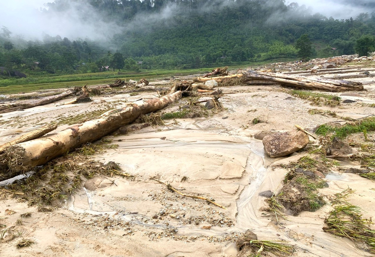 Những cây gỗ lớn theo dòng lũ chảy xuống hạ lưu và bị kẹt lại giữa đồng ruộng, đường làng và nhà dân.