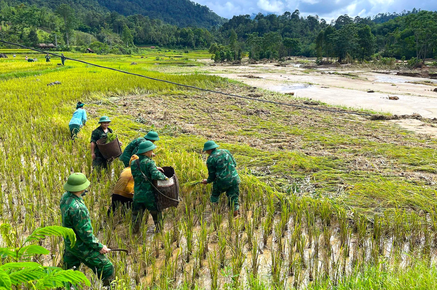 Tại xã Hạnh Dịch (huyện Quế Phong, tỉnh Nghệ An), trận lũ xảy ra vào ngày 29/5 và 30/5 cũng khiến nhiều diện tích lúa bị đất đá vùi lấp hư hỏng. Để giảm bớt thiệt hại, các cán bộ chiến sĩ Đồn Biên phòng Hạnh Dịch đã xuống đồng giúp người dân vớt vát những diện tích lúa chưa bị hư hỏng. Tại xã Hạnh Dịch (huyện Quế Phong, tỉnh Nghệ An), trận lũ xảy ra vào ngày 29/5 và 30/5 cũng khiến nhiều diện tích lúa bị đất đá vùi lấp hư hỏng. Để giảm bớt thiệt hại, các cán bộ chiến sĩ Đồn Biên phòng Hạnh Dịch đã xuống đồng giúp người dân vớt vát những diện tích lúa chưa bị hư hỏng.