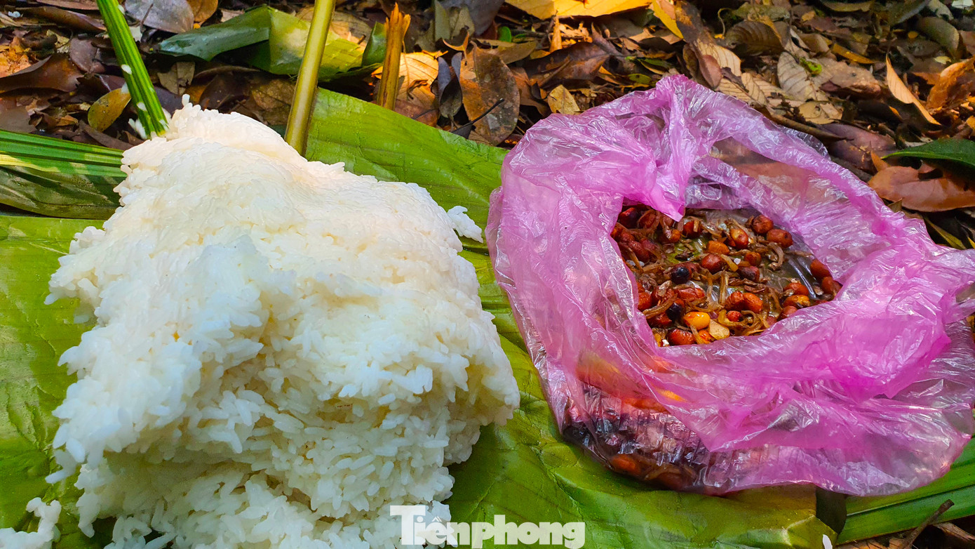 Đi rừng thiếu thốn, họ dùng lá cây làm chiếu trải để ăn cơm. Bữa ăn đôi khi chỉ là cơm trắng với muối lạc.