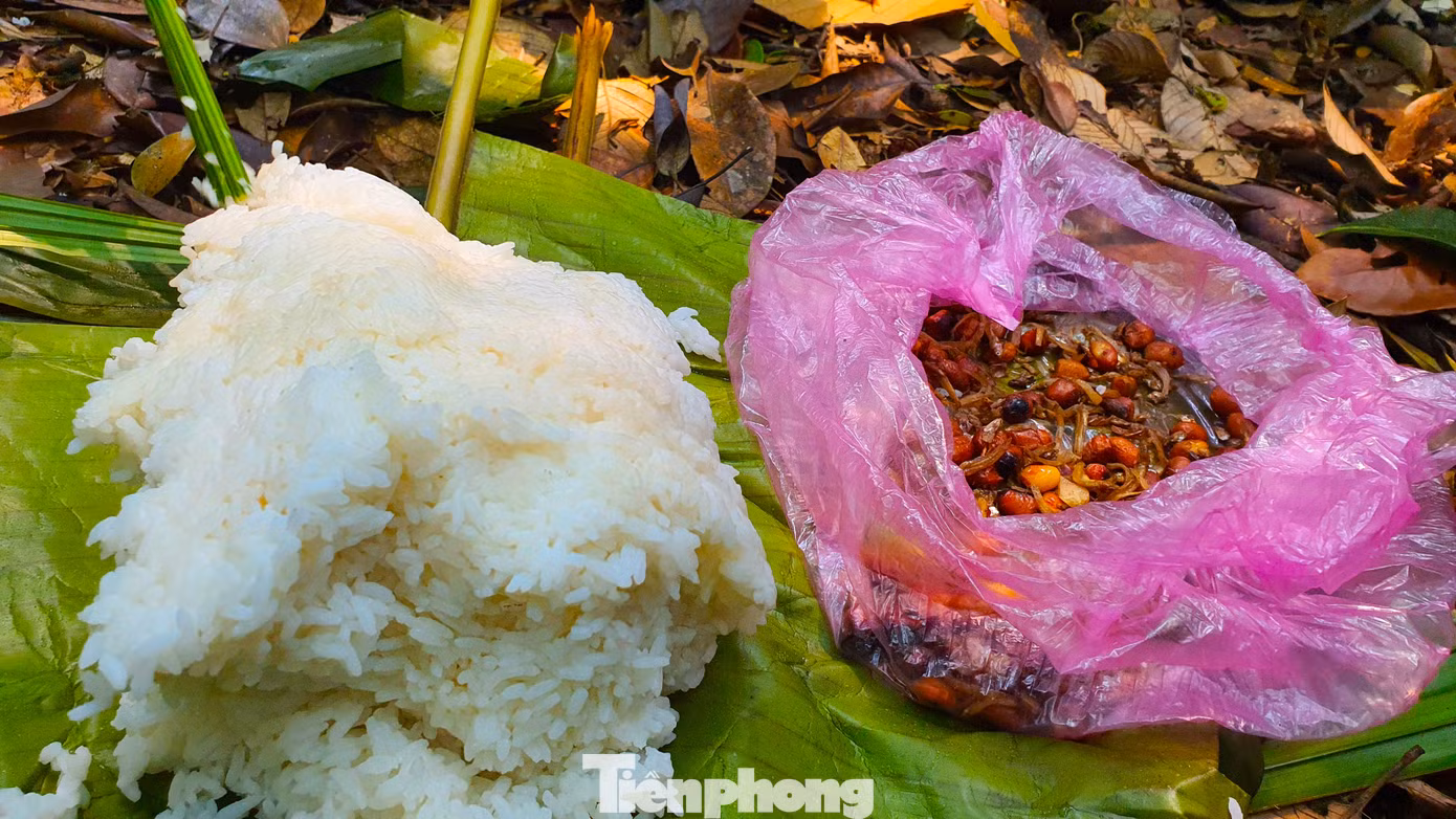 Đi rừng thiếu thốn, họ dùng lá cây làm chiếu trải để ăn cơm. Bữa ăn đôi khi chỉ là cơm trắng với muối lạc.