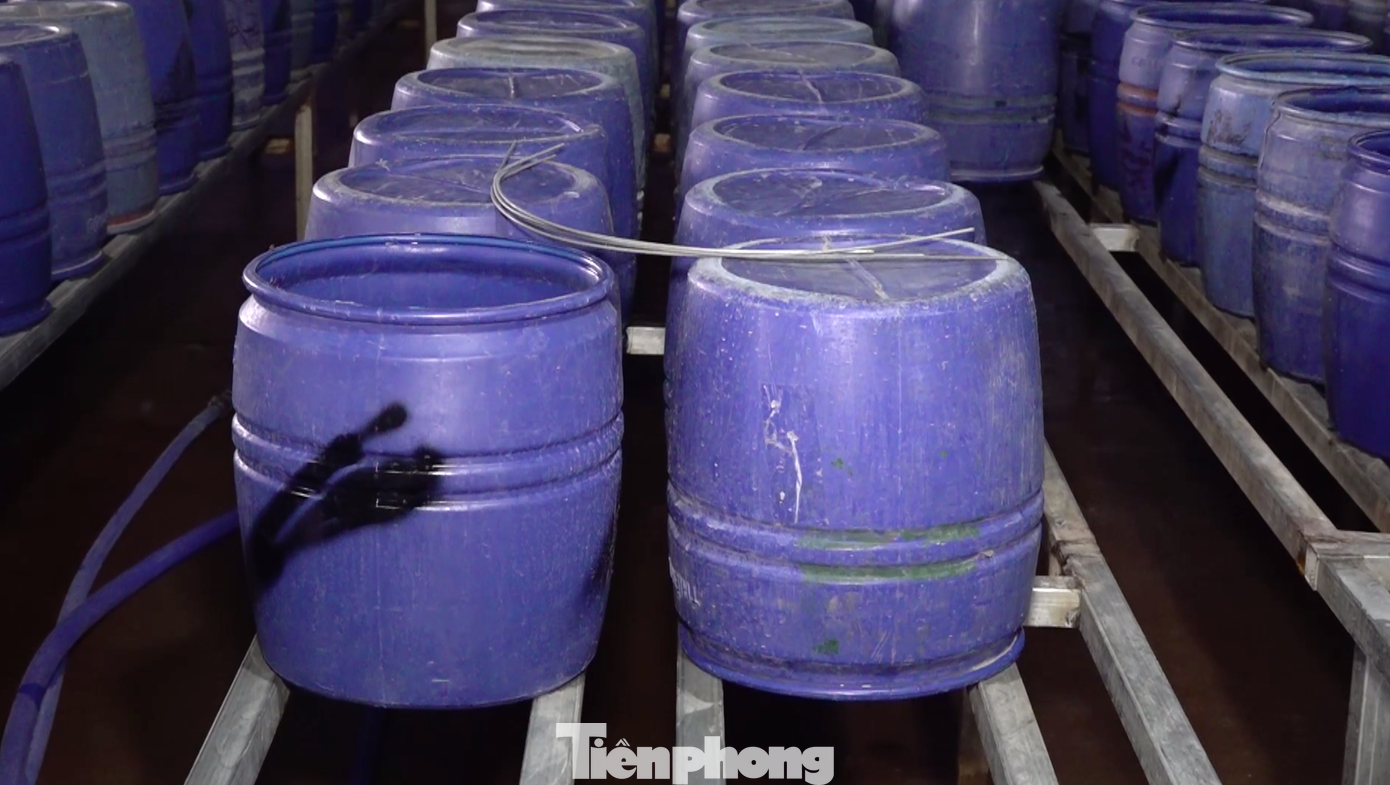 Bên trong 4 cơ sở được các đối tượng hàn hệ thống giá sắt kiên cố cùng hàng nghìn thùng nhựa để sản xuất giá đỗ. Bên trong 4 cơ sở được các đối tượng hàn hệ thống giá sắt kiên cố cùng hàng nghìn thùng nhựa để sản xuất giá đỗ.